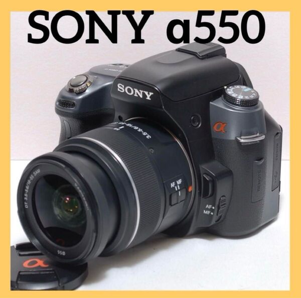 スマホ転送 初心者様におすすめ SONY α350 シングルレンズ 簡単操作 デジタル一眼レフカメラ
