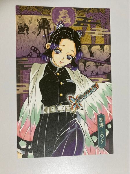 鬼滅の刃(栗花落カナヲ・胡蝶しのぶ)