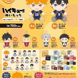 ハイキュー ぬいもっち フリューくじ E賞 木兎