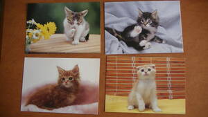 猫　ポストカード　4枚　セット