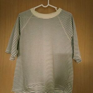 ワークマン サーバーラグランTシャツ