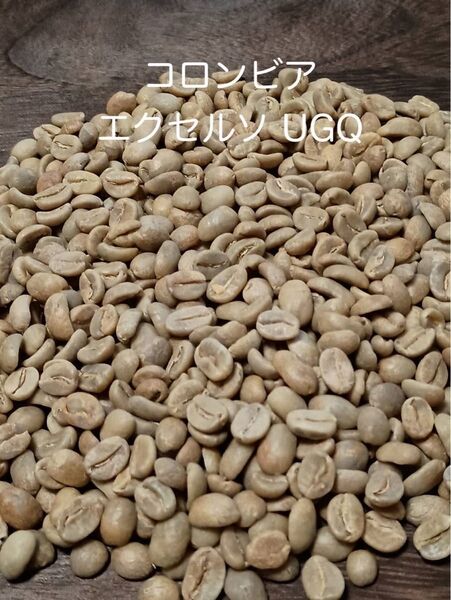 【生豆1Kg】コロンビア エクセルソUGQ コーヒー生豆 未焙煎 ロースト練習用 アラビカ種【送料無料】 珈琲