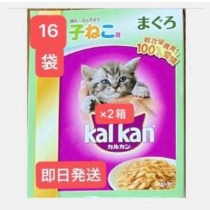 ★カルカン 子ねこ用(離乳〜12ヶ月まで) ★まぐろゼリー仕立て 70g×16袋 ★5枚目写真 チャオちゅーるおまけ付き