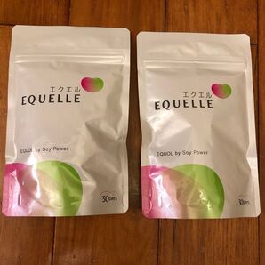EQUELLE エクエル パウチ 120粒 大豆イソフラボン 2袋