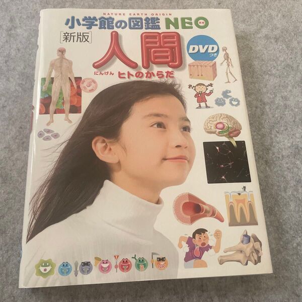 小学館の図鑑NEO 新版 人間 DVD無し 絵本 えほん 中古 知育 ずかん 自由研究に