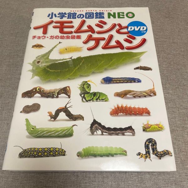 小学館の図鑑NEO イモムシとケムシ チョウ、ガの幼虫図鑑 DVD無し 絵本 えほん 中古 知育 ずかん 自由研究に 虫