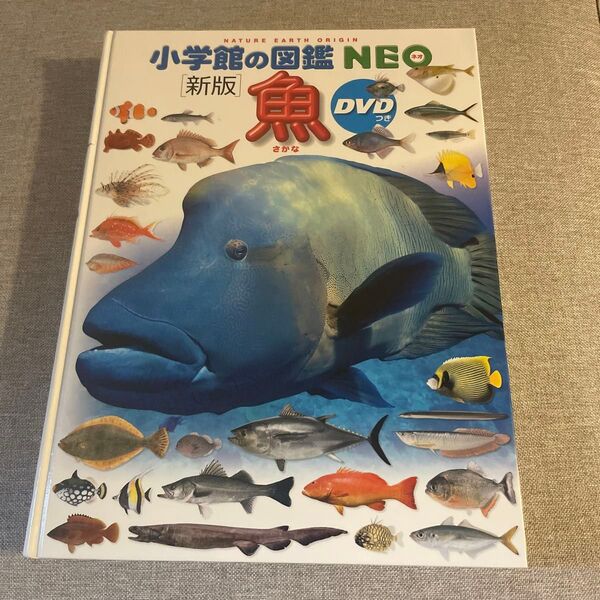 小学館の図鑑NEO 新版 魚 さかな DVD無し 絵本 えほん 中古 知育 ずかん 自由研究に 夏休み