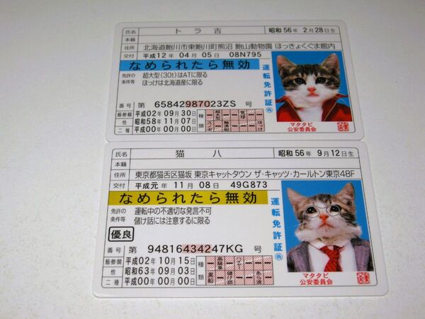 【なめ猫 免許証風 ブロマイド 2枚 】なめんなよ猫 なめねこ 癒やし 猫 ネコ かわいい 可愛い キャラクター コレクション