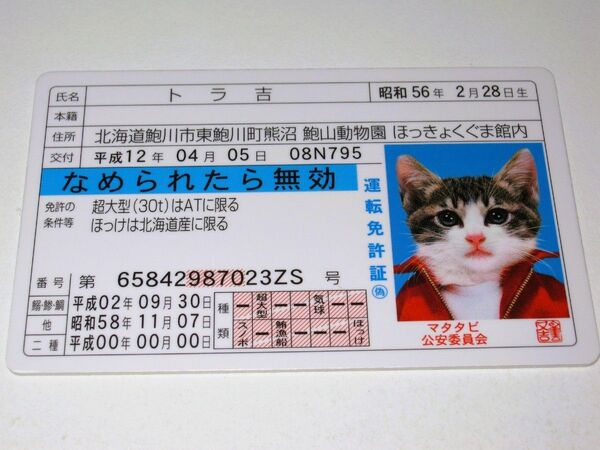 【なめ猫 免許証風 ブロマイド トラ吉】なめんなよ猫 なめねこ 癒し 癒やし 猫 かわいい 可愛い 猫 キャラクター コスプレ