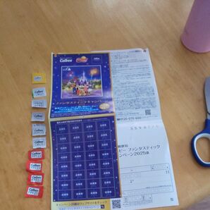 カルビー ファンタスティックキャンペーン 応募券 113点