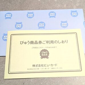 びゅう商品券ご利用のしおり・封筒・のし×各10組 ☆