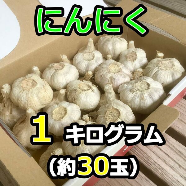 【農家直送】にんにく1kg約30玉_ゆうパケットプラス
