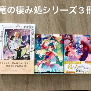 ◯竜の棲み処 (リリ文庫 L-72) 宵/著 ◯竜の棲み処君に至る道しるべ ◯君が僕の永遠なる希望 シリーズ3冊セット
