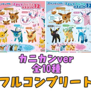 ポケットモンスター つまんでつなげてマスコット 12&13 全10種 フルコンプリート カニカンver ガシャポン