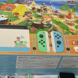 Nintendo Switch あつまれ どうぶつの森デザイン