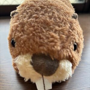 仙台うみの杜水族館 10周年記念 アメリカビーバーぬいぐるみ 未使用品
