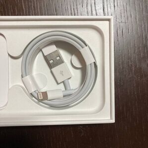iPhone充電ケーブル
