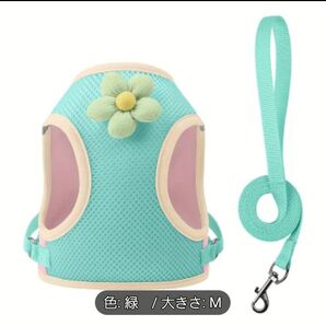 ペット用 ハーネス リード セット Mサイズ グリーン