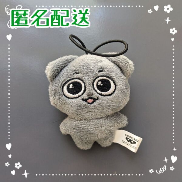 Kkamung&Angto ぬいぐるみ マスコット カムン①
