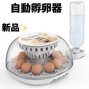 自動孵卵器 インキュベーター 自動転卵 孵卵器 ひよこ 鳥類専用ふ卵器 夏休み 自由研究