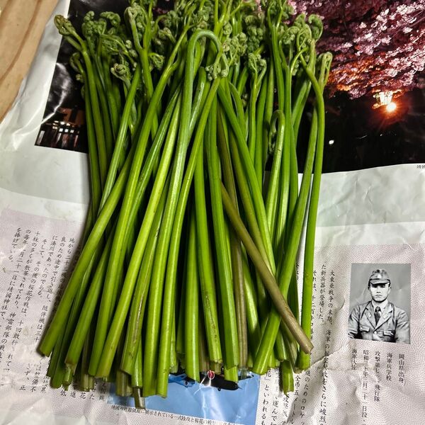 青森産訳あり昨日のものです。値下げします。よろしくお願いします。700グラムあります。