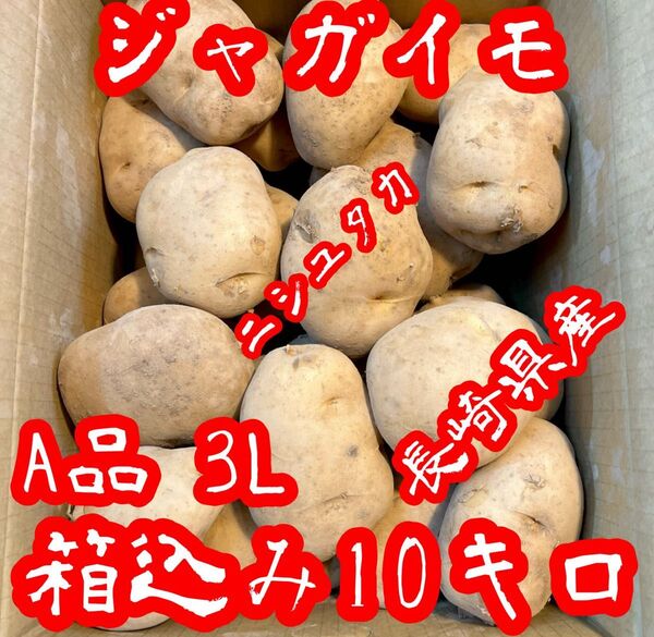 長崎県産!! 美味しいじゃがいも!! ニシユタカ品種 A品 3L 箱込み10キロ!!