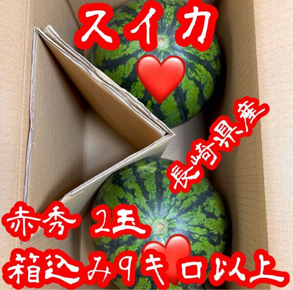 長崎県産 シャリッと!! 甘くて美味しい!! スイカ!! 赤秀品 1級品 2玉 箱込み9キロ以上!!