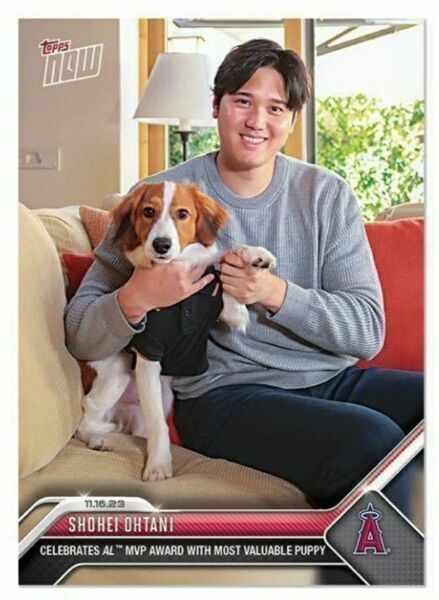 ☆匿名発送☆大谷翔平&愛犬デコピン◯2023 topps NOW MVP 侍ジャパン ロサンゼルス・ドジャース エンゼルス