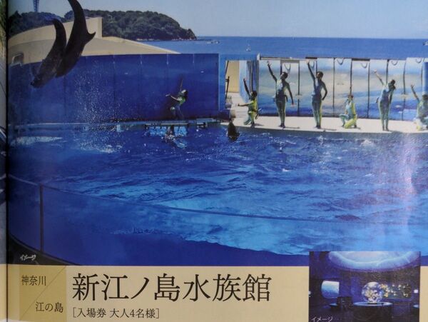 新江ノ島水族館 入場券 大人4名様分