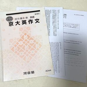 河合塾 2019夏期講習 京大英作文