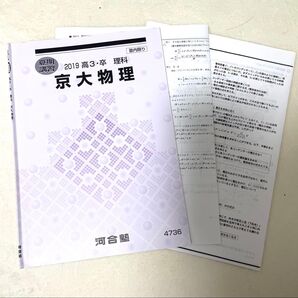 河合塾 2019夏期講習 京大物理