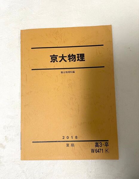 駿台 2018夏期講習 京大物理 テキストのみ