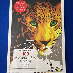 パズルぬりえ&点つなぎ 多彩な色 アートセラピー 100 大判 未使用