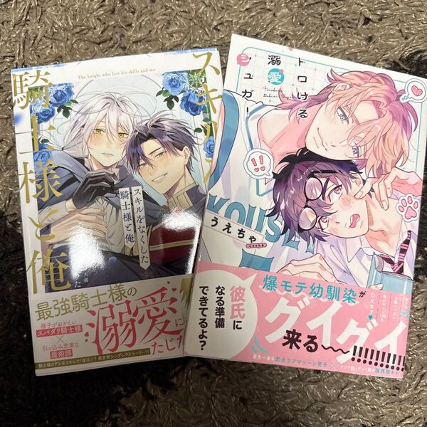 スキルをなくした騎士様と俺/もちた/朝陽天満 トロける溺愛シュガー デイジーコミックス/うえちゃ 〔コミック〕