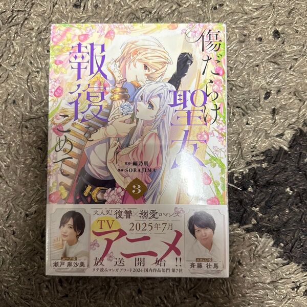 傷だらけ聖女より報復をこめて 3 (LAKE) 編乃肌/原作 SORAJIMA/漫画