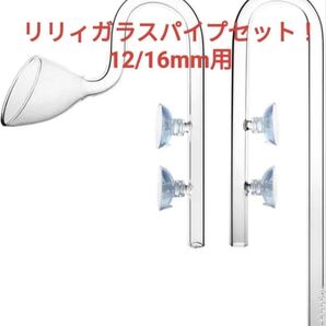 リリィパイプ 吸水 出水 セット クリアガラス製 (12/16mm ホース用)