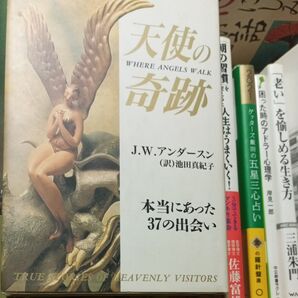 天使の奇跡 本当にあった37の出会い (NON・BOOK‐愛蔵版) J.W.アンダースン/著 池田真紀子/訳