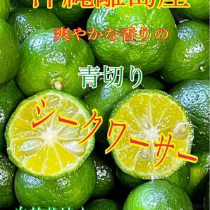 シークヮーサー 小玉 青切り 小粒 沖縄の代表的な柑橘類 農薬不使用 自然栽培 約50〜60個