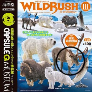 カプセルQミュージアム WILD RUSH 真・世界動物誌Ⅲ ~極地・北極圏編~ フィギュア ガチャガチャ 海洋堂