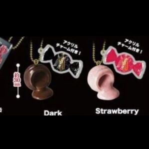 【クーポン(取得必要)500円引き~9月1日迄・最終価格・未使用】CACAOCATマスコット セット ストラップ チャーム 2個