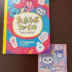 たまごっち パラダイス 特典のみ ほーほっち