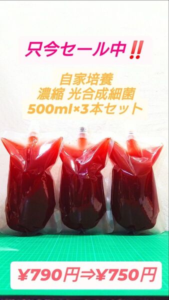 セール中!!通常価格より安くしています!!濃縮PSB光合成細菌500ml×3本