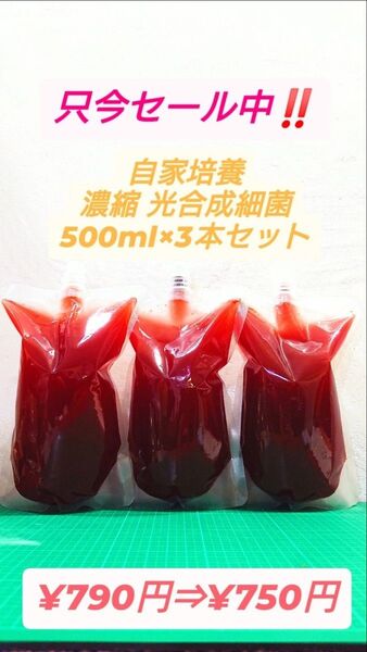 セール中!!通常価格より安くしています!!濃縮PSB光合成細菌500ml×3本