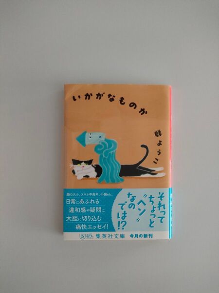 いかがなものか (集英社文庫 む3-16) 群ようこ/著