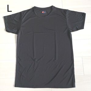 未使用 Hanes ヘインズ メンズ 抗菌防臭 ドライメッシュ Tシャツ 吸汗速乾 クルーネック サーフシャツ L 黒