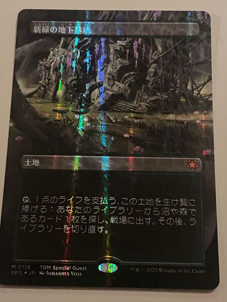 MTG タルキール龍嵐録 新緑の地下墓地 ドラゴンスケイルfoil 日本語1枚