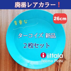 【レアカラー新品!】イッタラ ティーマ ターコイズ 26センチ 2枚セット B