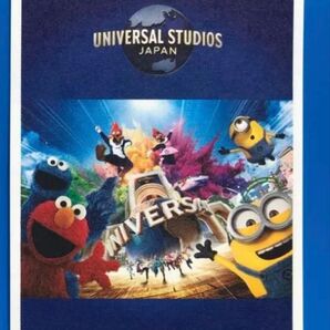 USJ ユニバーサルスタジオジャパン ユニバ フリーデイト パス 1枚 大人用チケット