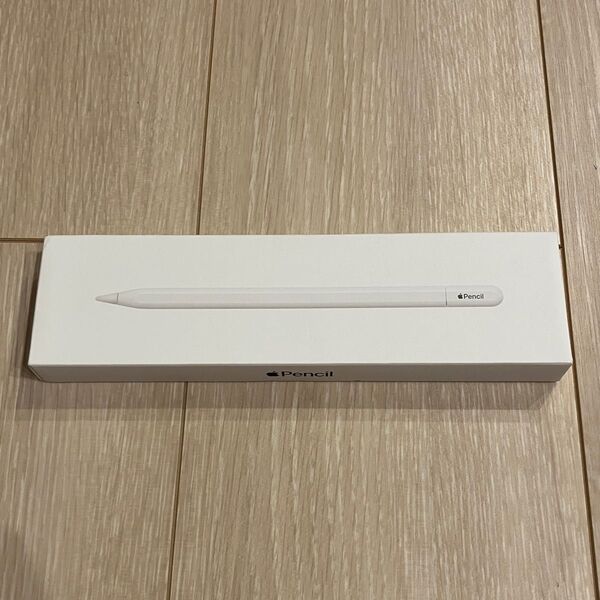 【新品】Apple Pencil(USB-C) アップルペンシル(USB-C)