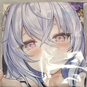 【未開封・正規品】雨の日アリス 白洲アズサ 抱き枕カバー 差分版 ブルーアーカイブ ブルアカ Blue Archive